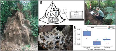 Make the environment protect you from disease: elevated CO2 inhibits antagonists of the fungus-farming termite symbiosis